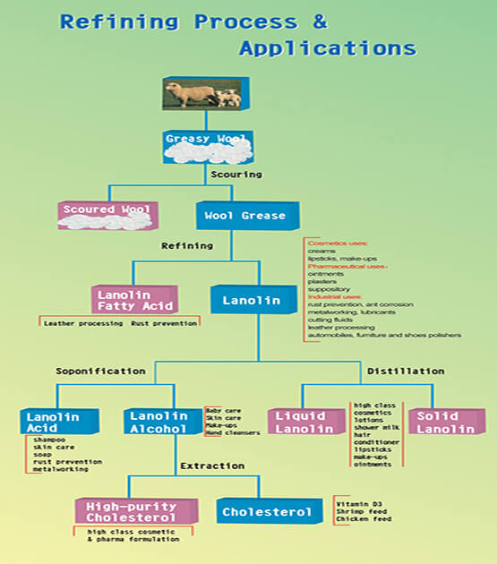 Sinochem Nanjing Corporation (Xinyi Lanolin Co.,Limited)